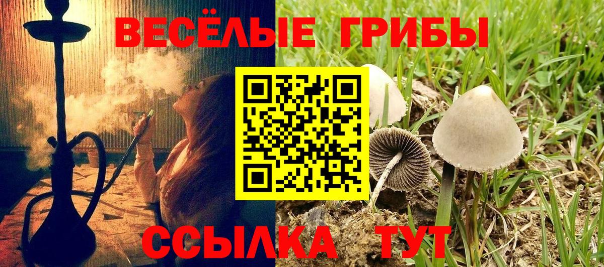 Серпухов  Галлюциногенные грибы мицелий  Вход с VPN  закладки  Псилоцибиновые грибы ЛСД 