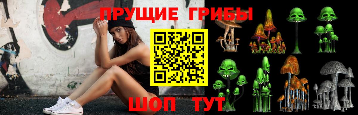 Галлюциногенные грибы прущие грибы Серпухов